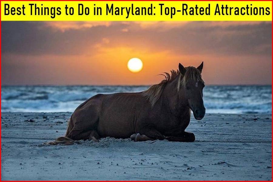 Best Things to Do in Maryland