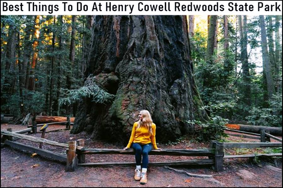 Best Things To Do At Henry Cowell Redwoods State Park