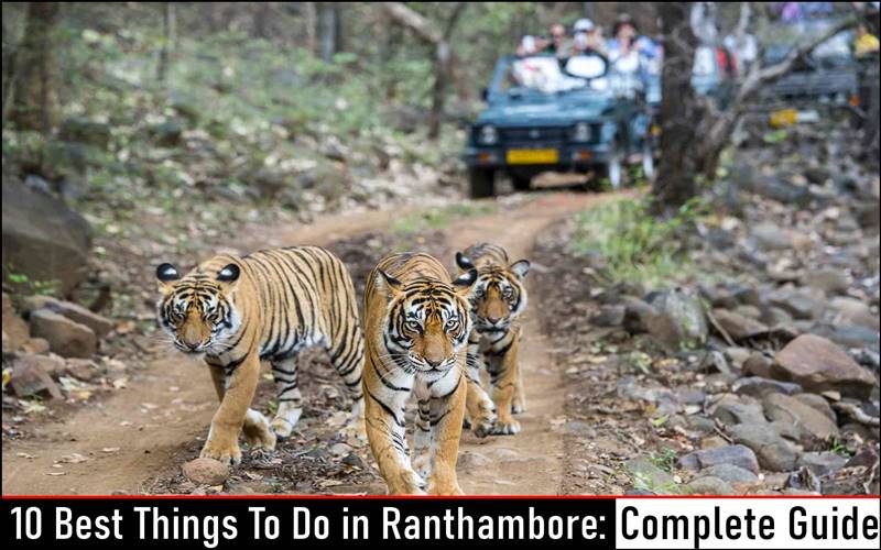 10 Best Things To Do in Ranthambore: Complete Guide 2023