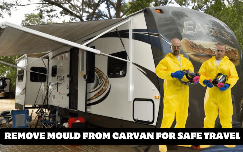 Removing Mould from Your Caravan for Safe Travel [How-to Guide]